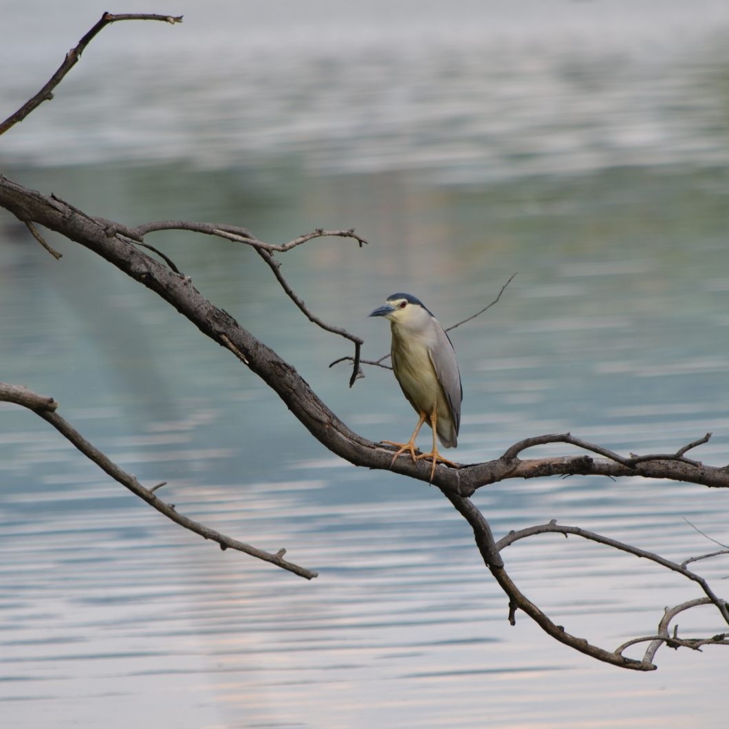 fotograf profesionist valcea