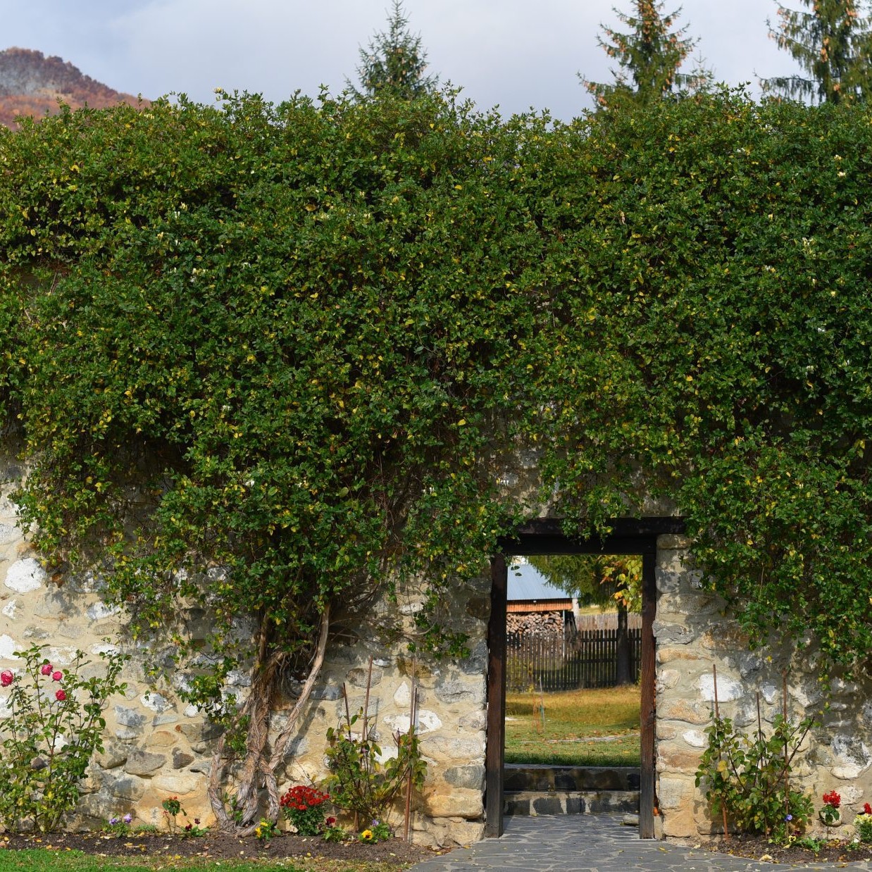 fotografie artistica